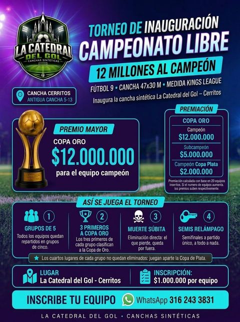 Afiche del Campeonato Libre